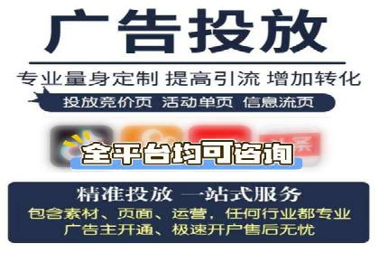 企业SEM托管代运营实战案例